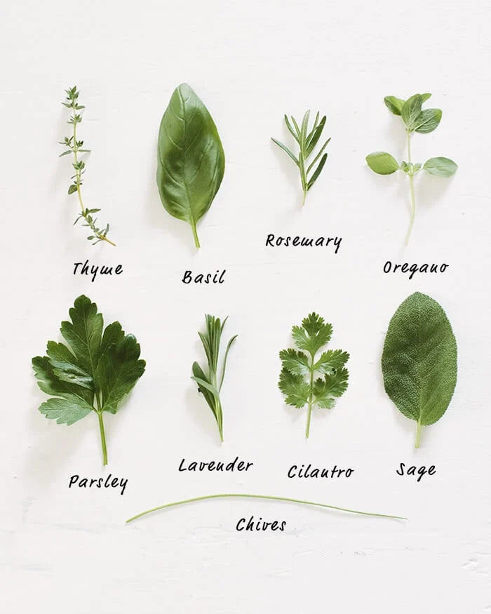 Once Upon a Thyme