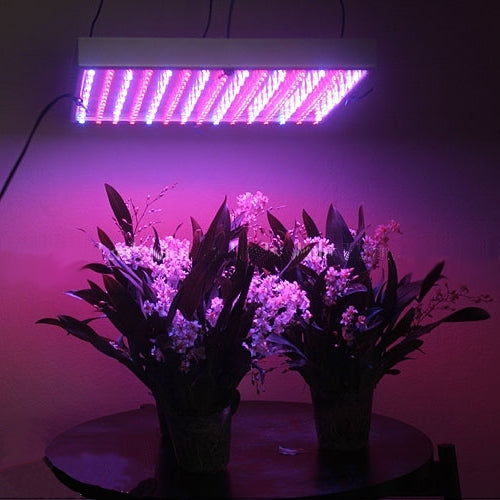 Grow Lights