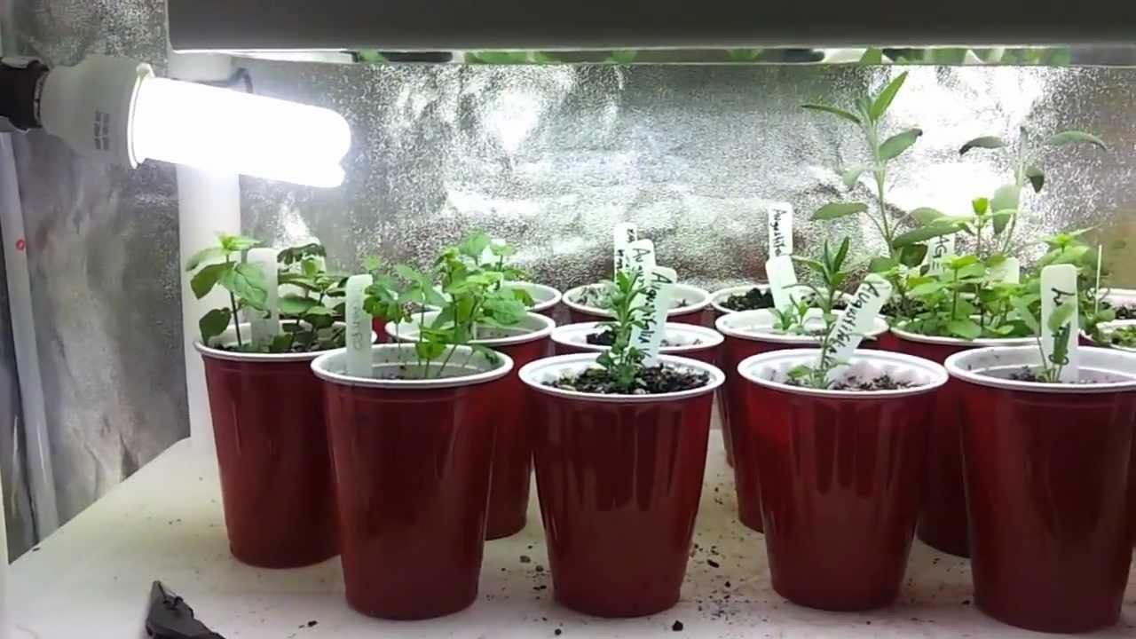 Indoor Growing -Lights, Tents, Fans, Carbon Filters, etc