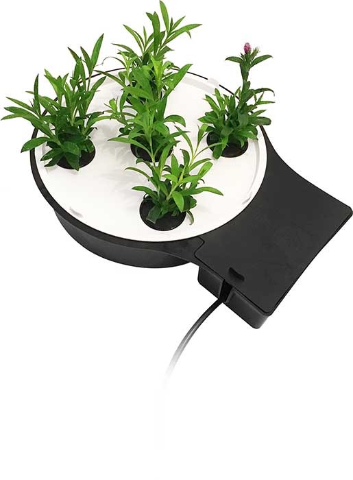 Aquaplate Circle XL Tray - AutoPot