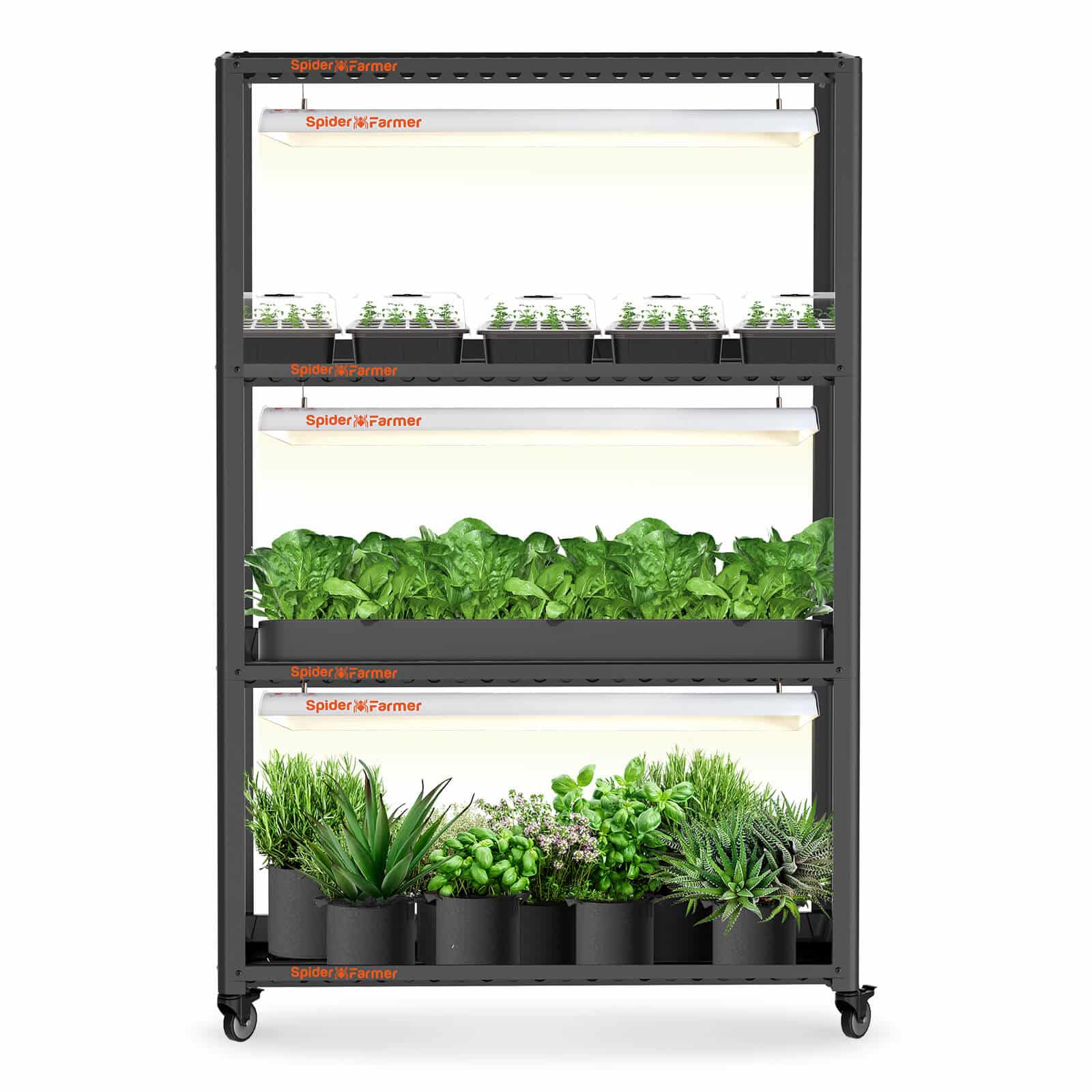 Grow Light Shelves SF600 LED lighting