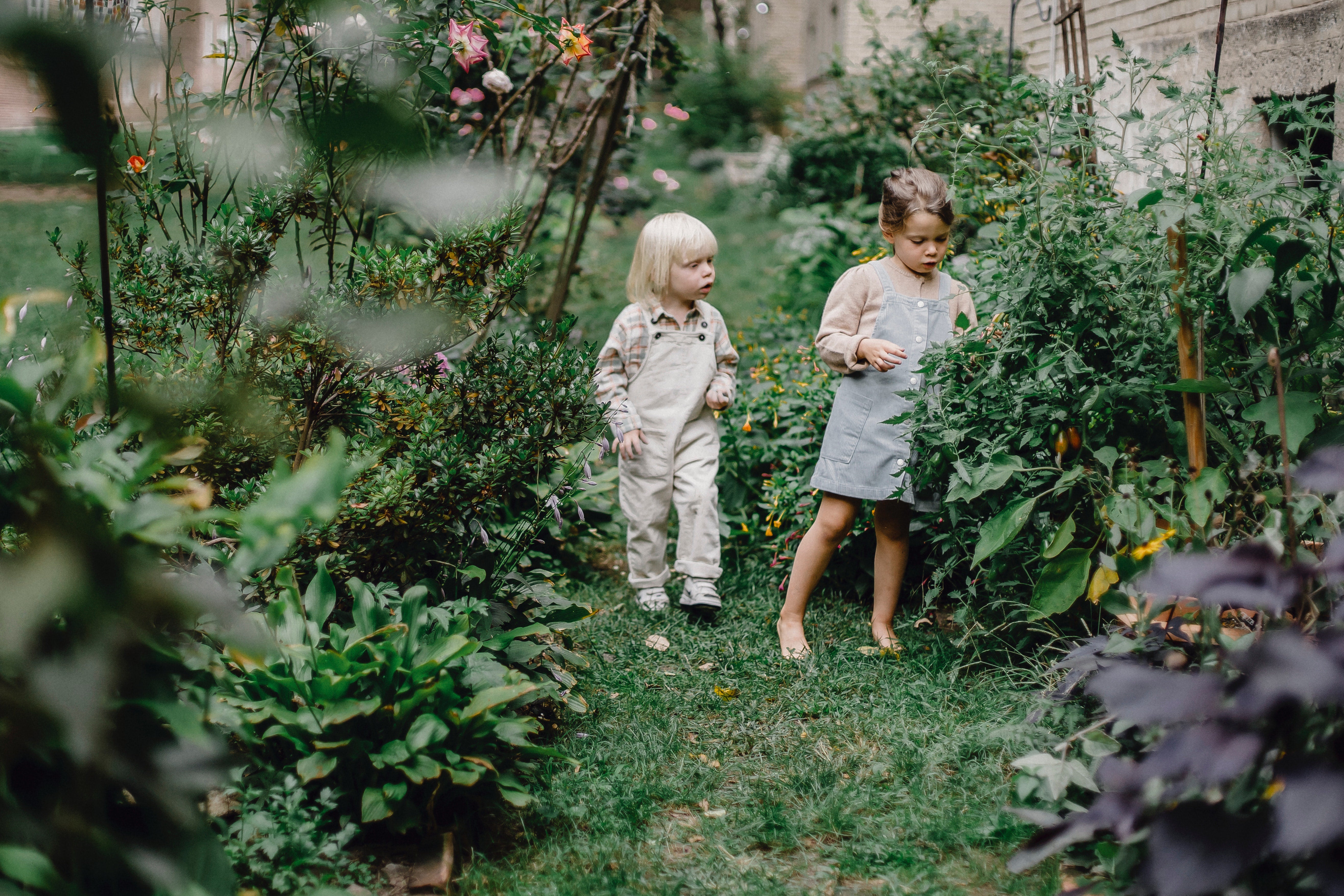 Children exploring a garden
