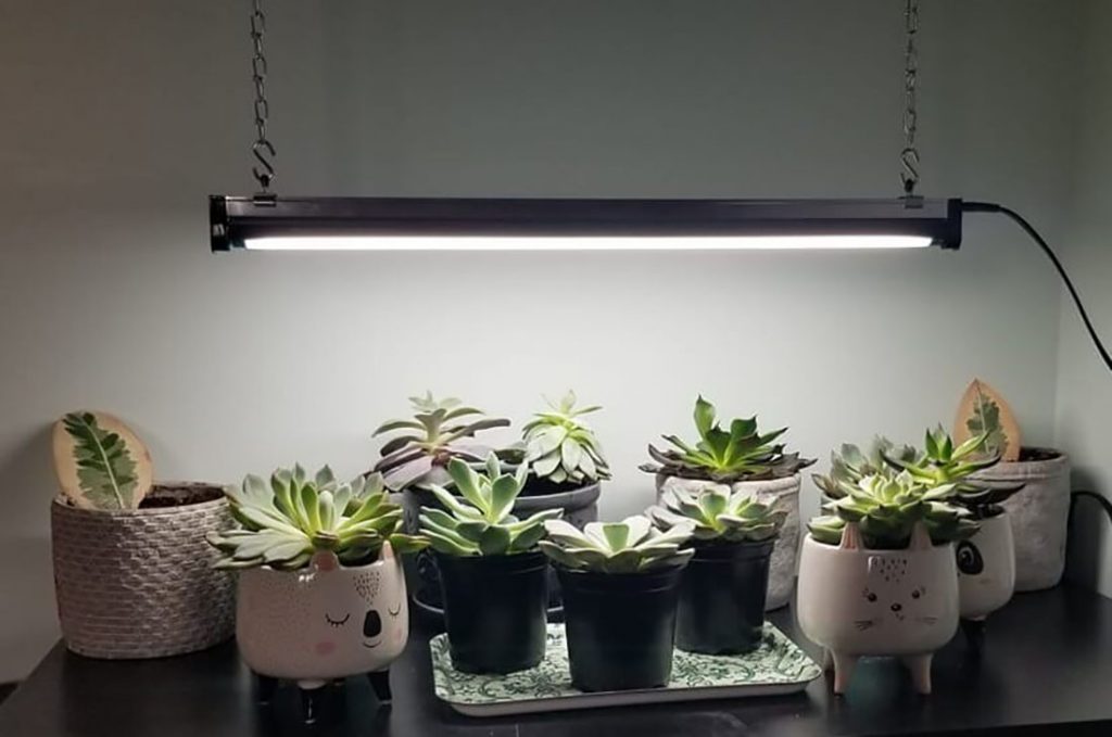 Propagation Fluorescent Light - 2 tubes