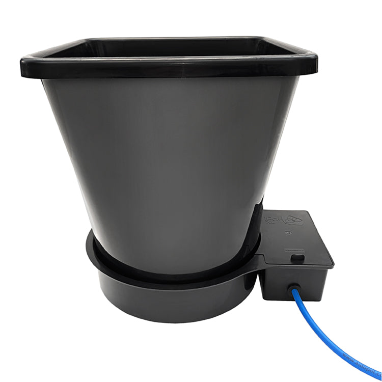 Autopot XL 1 pot module (25 plastic or 20 litre fabric pot)