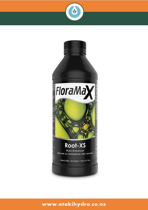 Root-XS