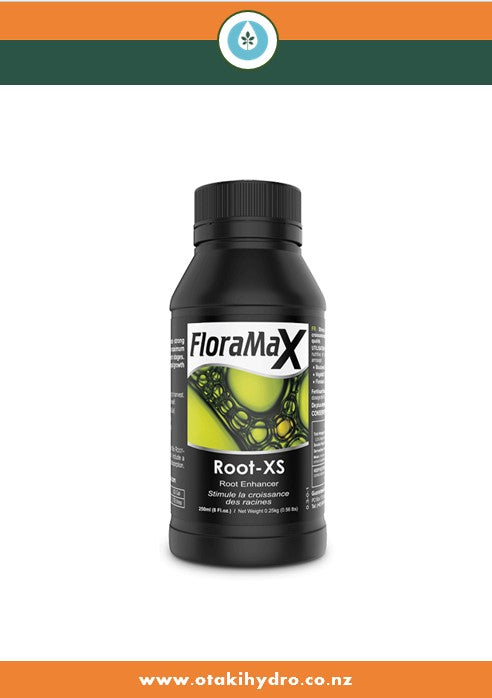 Root-XS