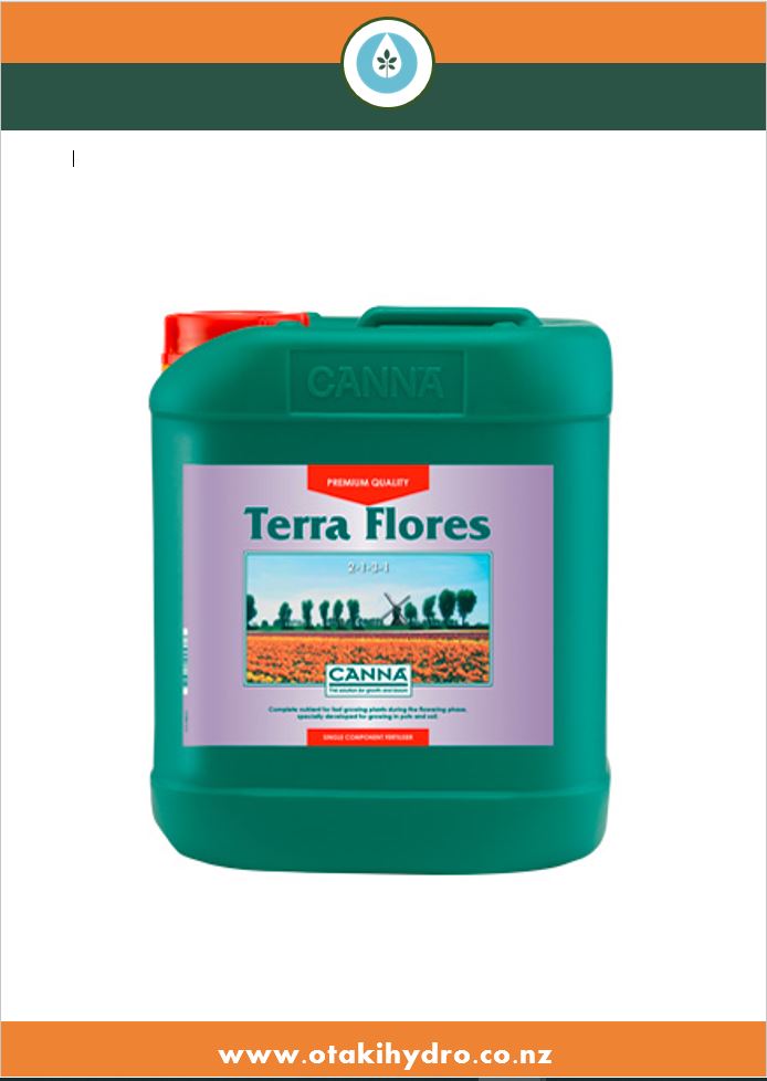 Canna Terra Flores
