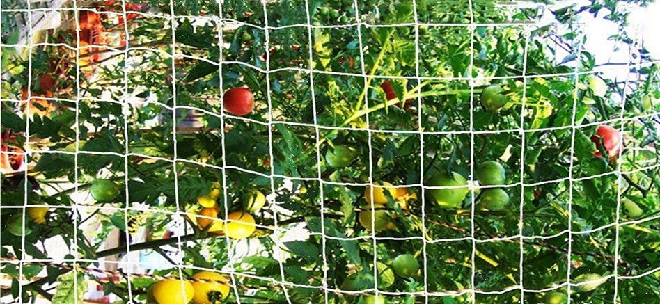 Trellis Netting