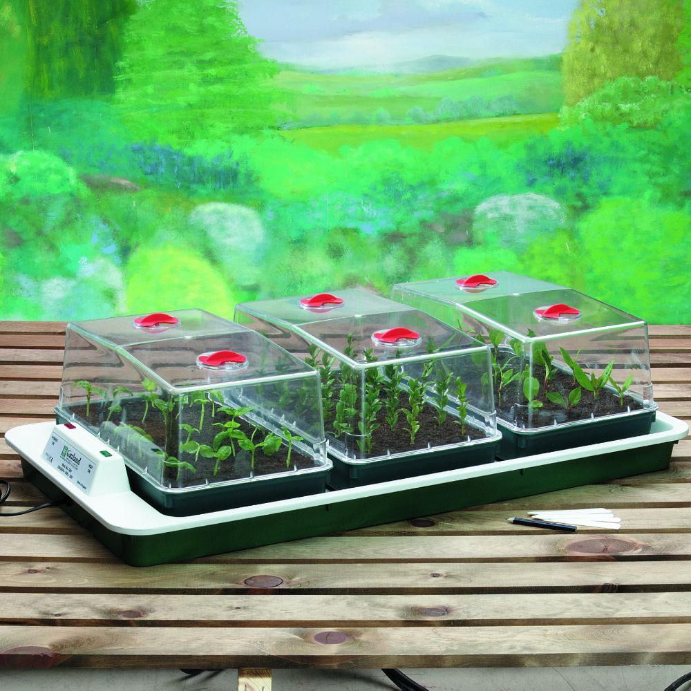 Automatic Control Big 3 Heated Propagator