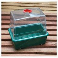 Propagators - Mini High Dome (set of 3)