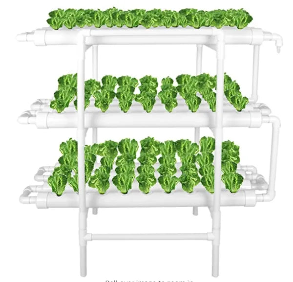 Hydroponic Grow System - 3 layers with FREE NUTRIENT