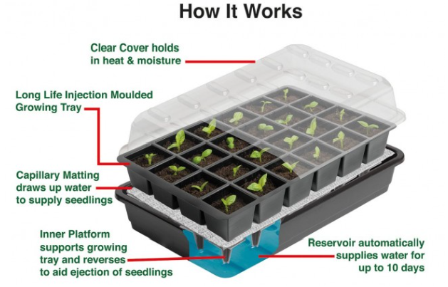 12 Cell Seed Propagation Kit