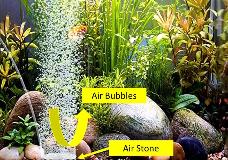 Air Stones - 4 types