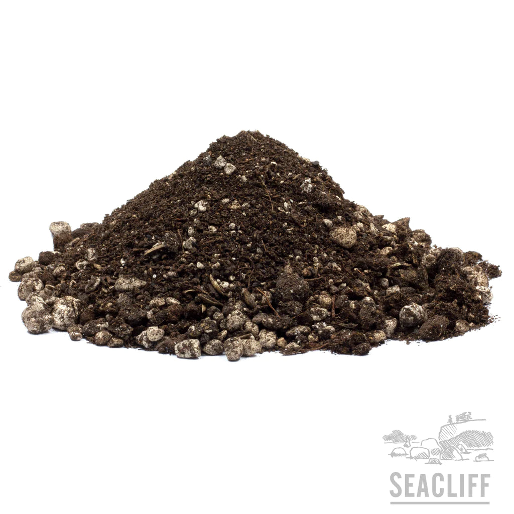 Seacliff Living Soil V2