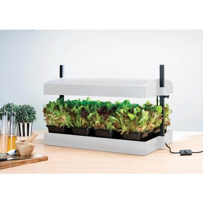 Grow Light Garden for microgreens, salad greens and herbs