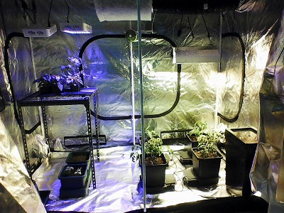 Trojan Gold 2.4 X 1.2M Grow Tent Package - HPS or LED