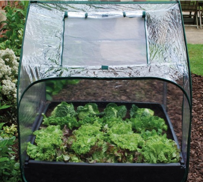 Pop-Up Garden Bed Cloche Cover