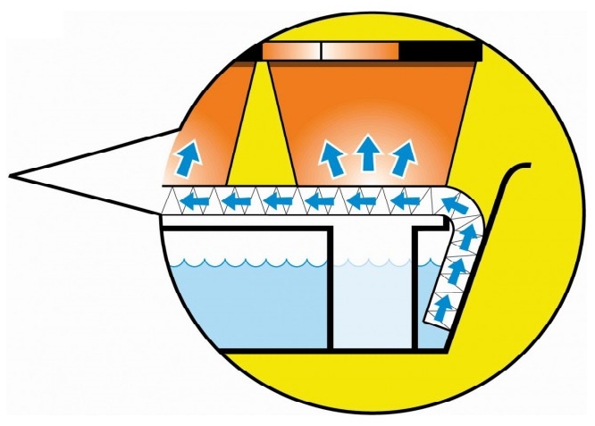 Windowsill Self-Watering Plant Tray
